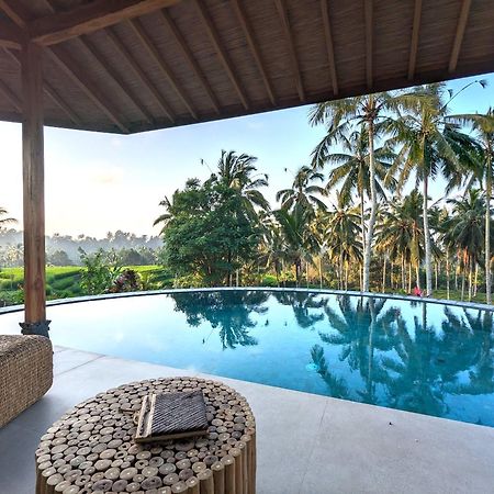 Puri Dajuma Terrace Eco Lodge & Spa Selemadeg  ภายนอก รูปภาพ