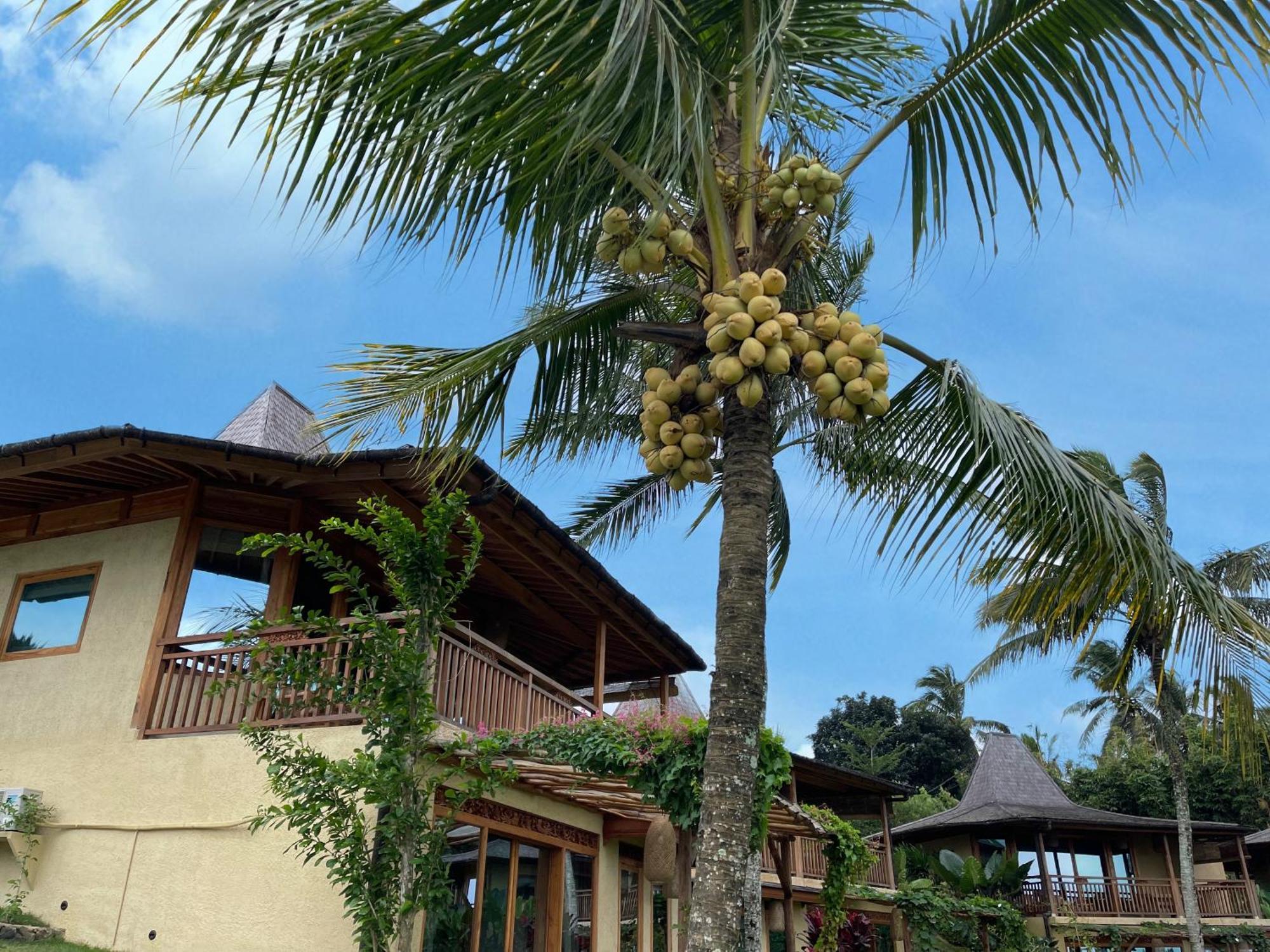 Puri Dajuma Terrace Eco Lodge & Spa Selemadeg  ภายนอก รูปภาพ