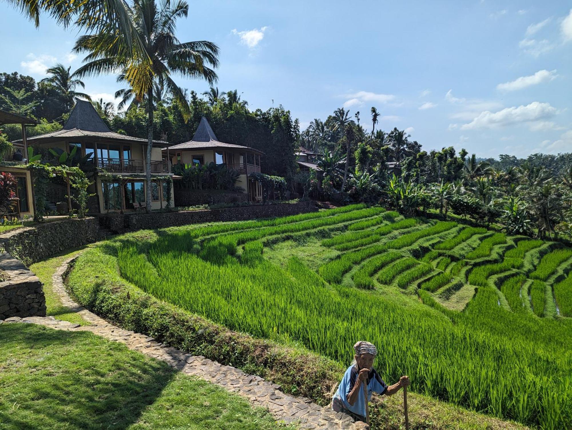 Puri Dajuma Terrace Eco Lodge & Spa Selemadeg  ภายนอก รูปภาพ