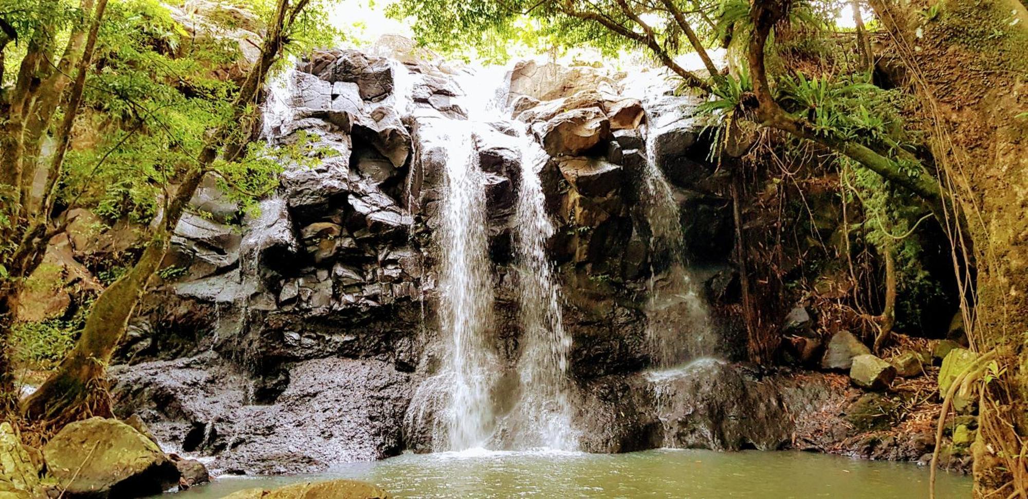 Puri Dajuma Terrace Eco Lodge & Spa Selemadeg  ภายนอก รูปภาพ