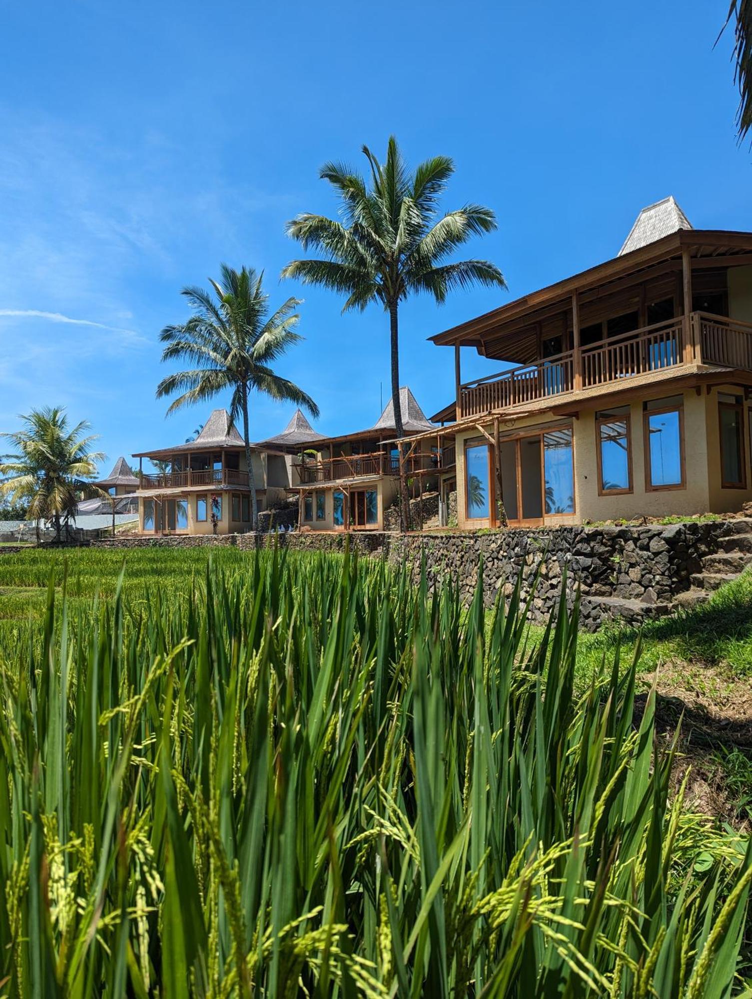 Puri Dajuma Terrace Eco Lodge & Spa Selemadeg  ภายนอก รูปภาพ