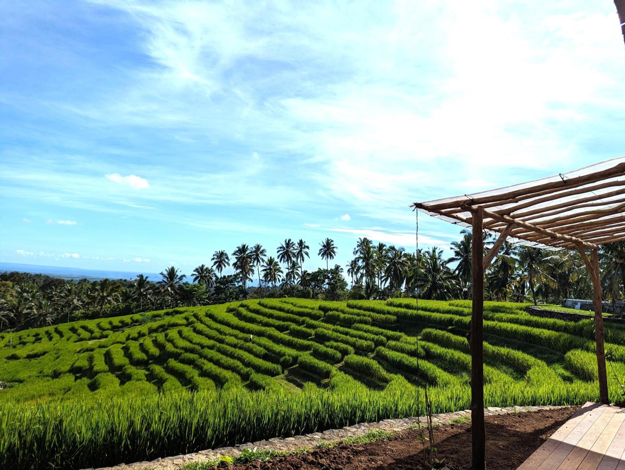 Puri Dajuma Terrace Eco Lodge & Spa Selemadeg  ภายนอก รูปภาพ