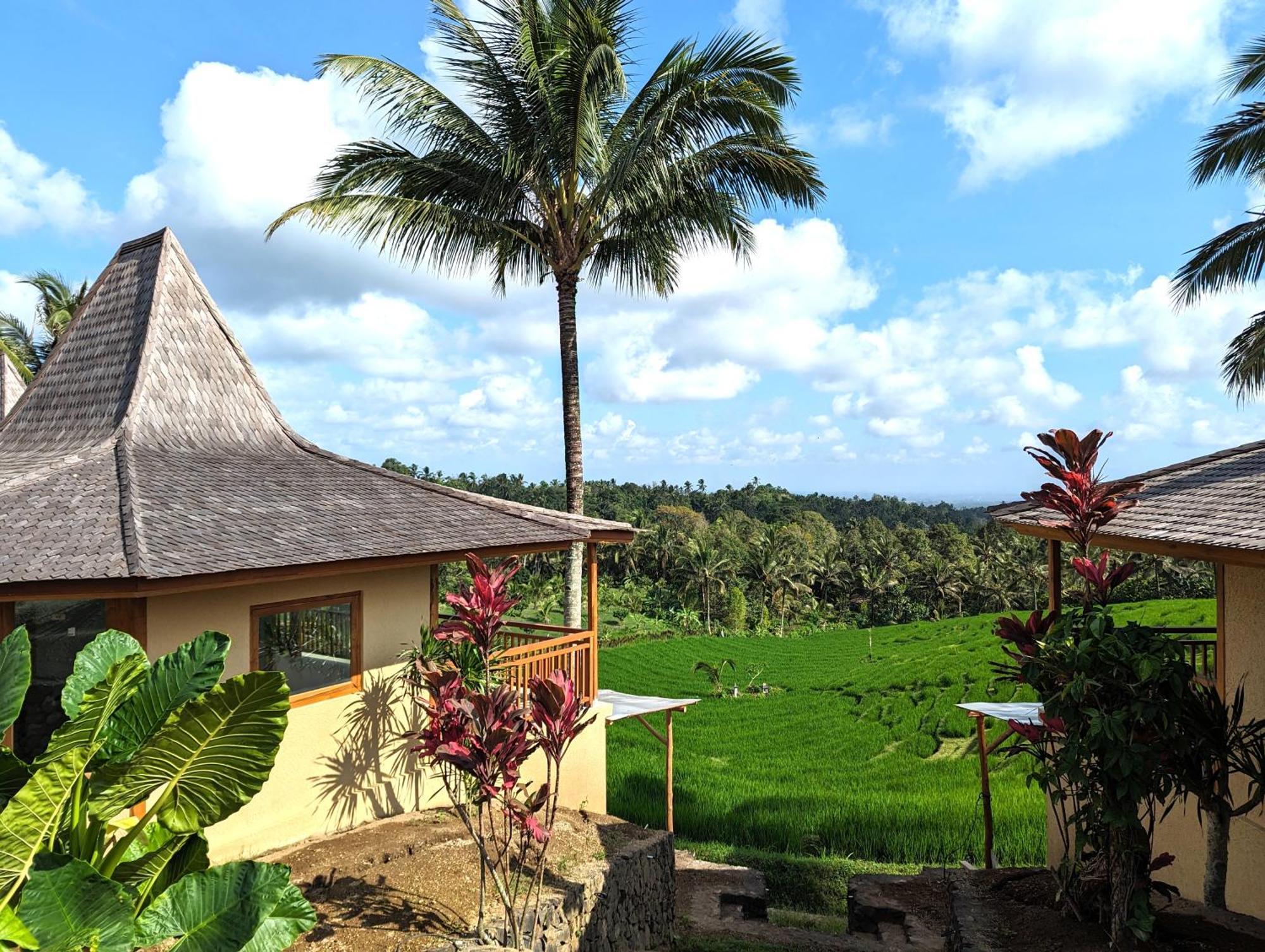 Puri Dajuma Terrace Eco Lodge & Spa Selemadeg  ภายนอก รูปภาพ