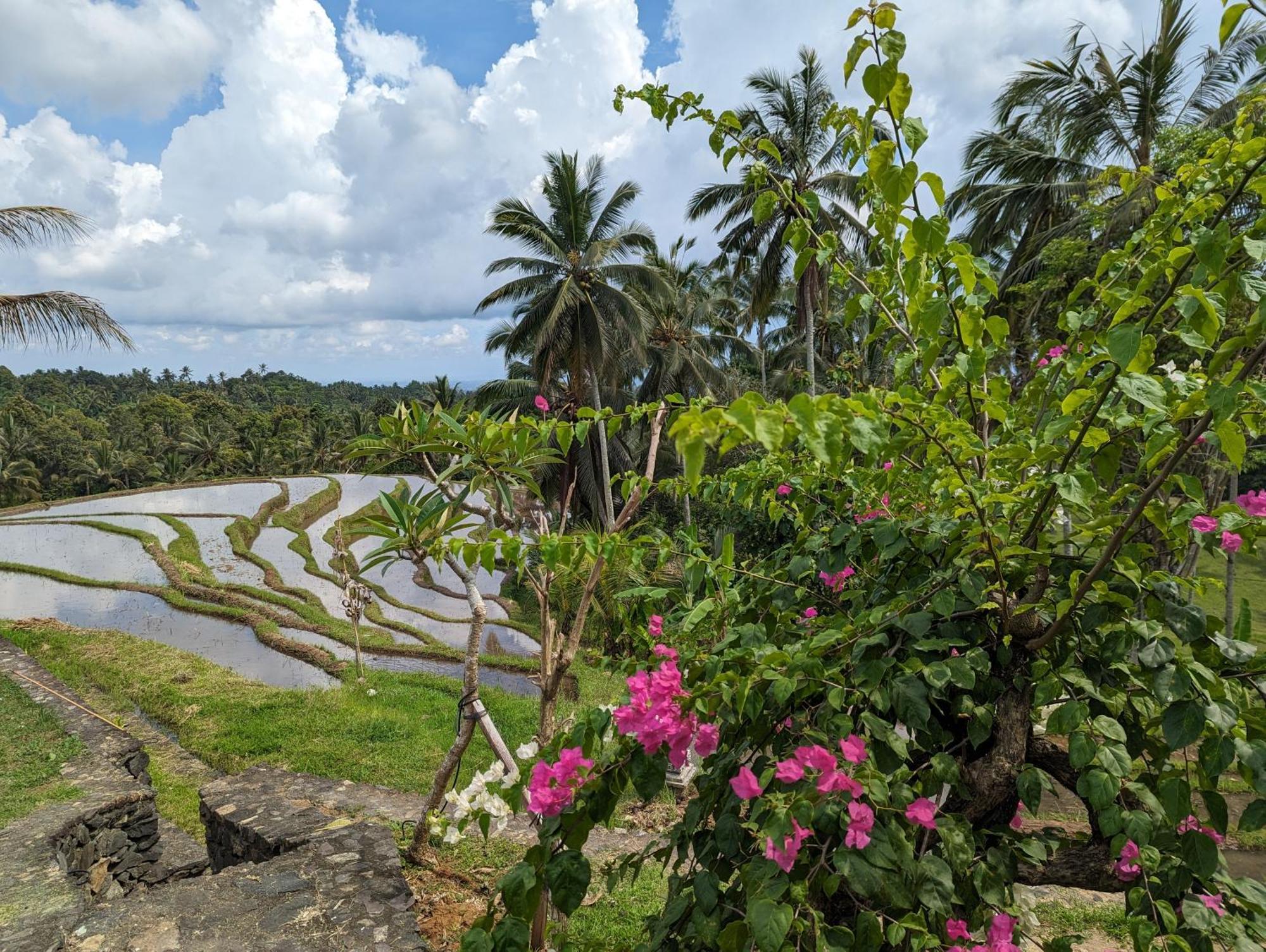Puri Dajuma Terrace Eco Lodge & Spa Selemadeg  ภายนอก รูปภาพ