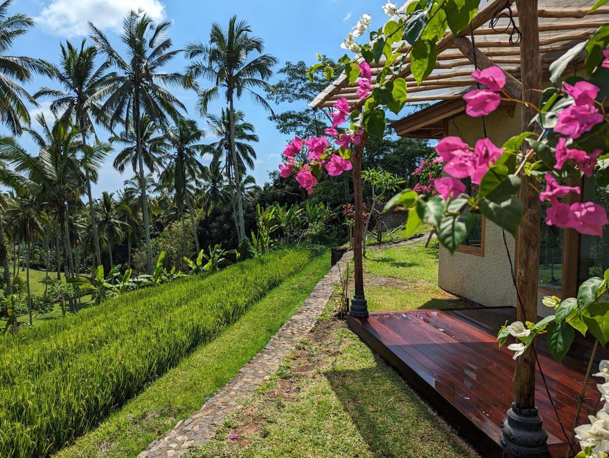 Puri Dajuma Terrace Eco Lodge & Spa Selemadeg  ภายนอก รูปภาพ