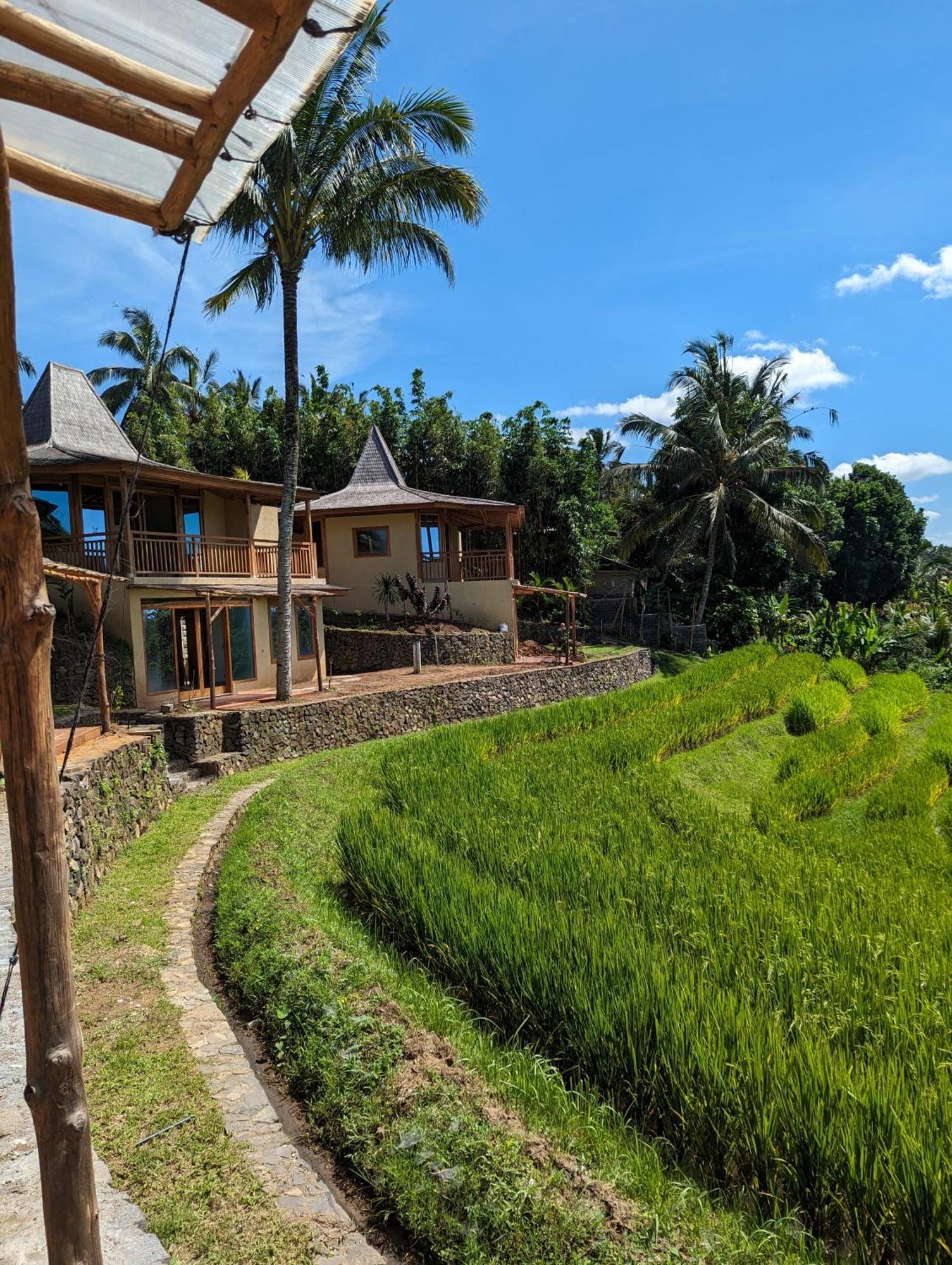 Puri Dajuma Terrace Eco Lodge & Spa Selemadeg  ภายนอก รูปภาพ